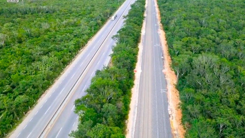 Aumentan Áreas Naturales Protegidas; Tren Maya promueve conservación de ecosistemas