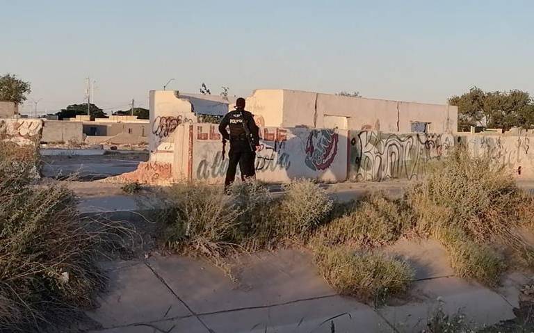 No todas las mujeres asesinadas están en el crimen organizado: Red Mesa