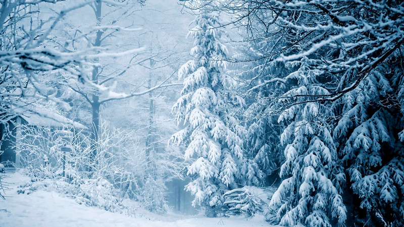 Tormentas de nieve y bajas temperaturas ‘congelan’ Suecia, Finlandia y Dinamarca