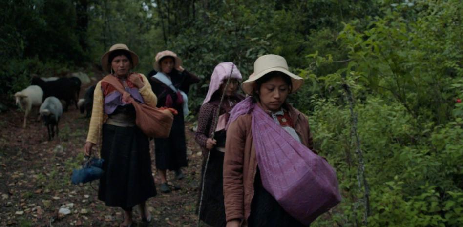 ‘Formas de atravesar un territorio’ explora los vínculos entre generaciones y la naturaleza