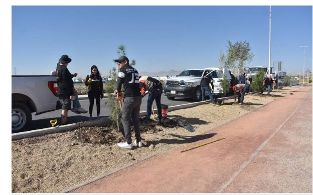 Reforestación del parque lineal Can-Am